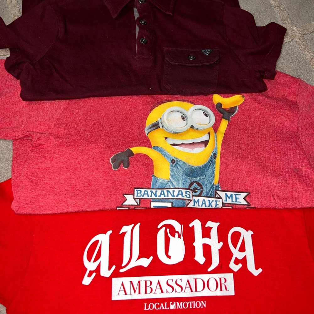 Polo & T-Shirt Lot